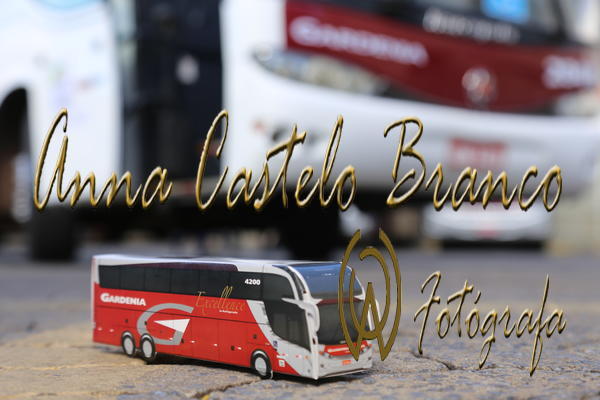 Buy your photos of the eventGardnia - Encontro com Buslogos on Fotop