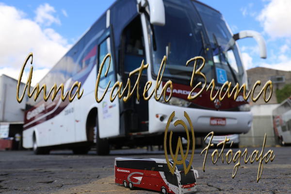 Buy your photos of the eventGardnia - Encontro com Buslogos on Fotop