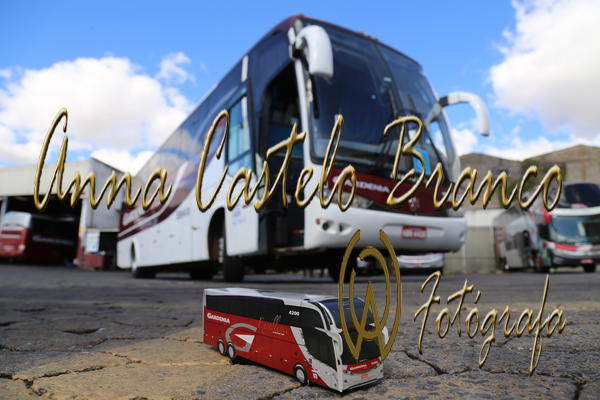 Buy your photos of the eventGardnia - Encontro com Buslogos on Fotop