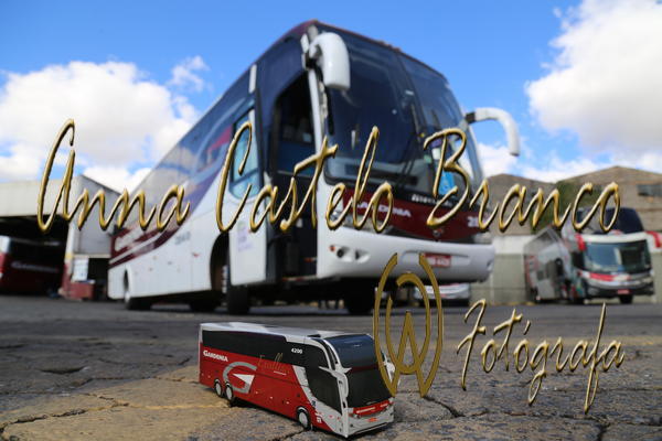 Buy your photos of the eventGardnia - Encontro com Buslogos on Fotop