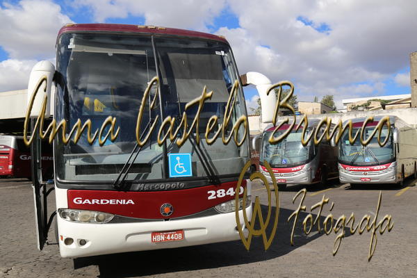 Buy your photos of the eventGardnia - Encontro com Buslogos on Fotop