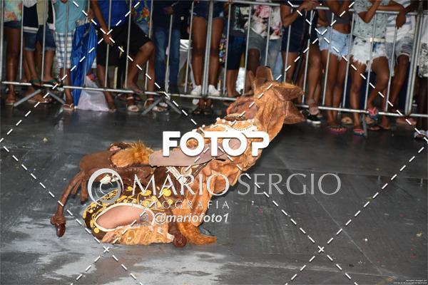 Buy your photos of the eventFEBAQ 2019 - CONCURSO DE QUADRILHAS DE VERA CRUZ - MAR GRANDE - PARTE 01 on Fotop