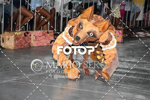 Buy your photos of the eventFEBAQ 2019 - CONCURSO DE QUADRILHAS DE VERA CRUZ - MAR GRANDE - PARTE 01 on Fotop