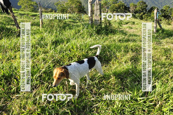 Buy your photos of the eventCorridas de Montanha - Etapa Maric� on Fotop