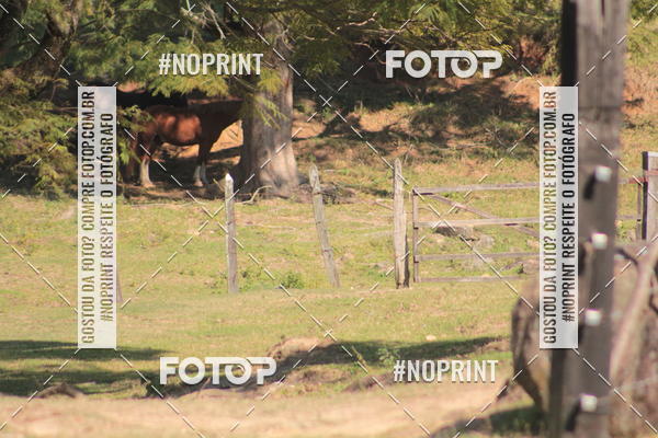 Buy your photos of the eventCorridas de Montanha - Etapa Maric� on Fotop
