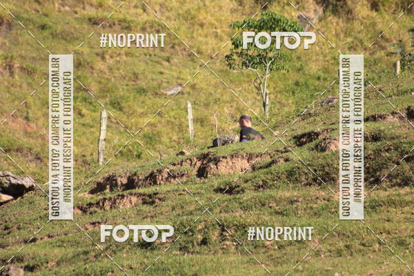 Buy your photos of the eventCorridas de Montanha - Etapa Maric� on Fotop