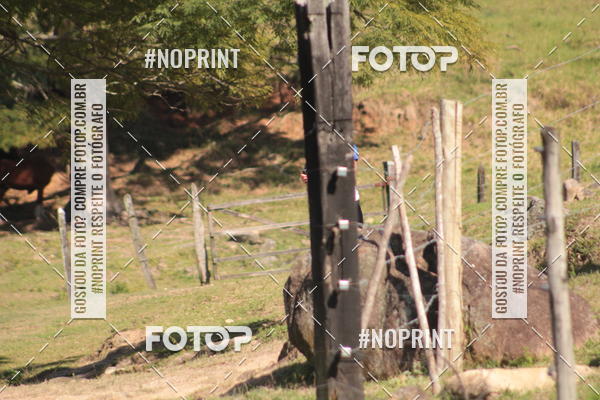 Buy your photos of the eventCorridas de Montanha - Etapa Maric� on Fotop