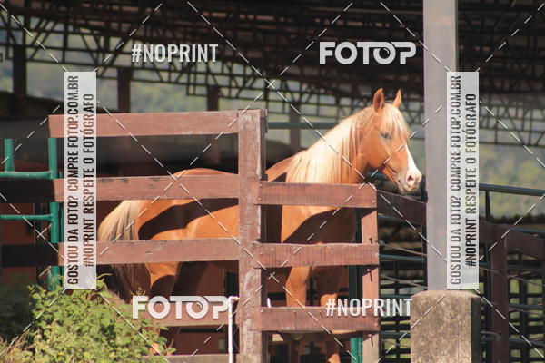 Buy your photos of the eventCorridas de Montanha - Etapa Maric� on Fotop