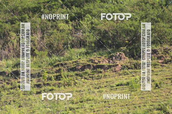 Buy your photos of the eventCorridas de Montanha - Etapa Maric� on Fotop