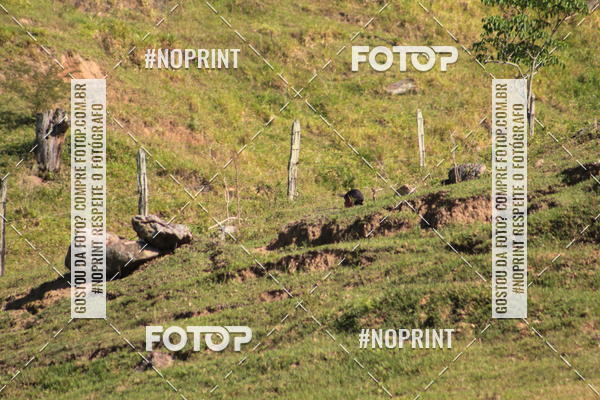 Buy your photos of the eventCorridas de Montanha - Etapa Maric� on Fotop