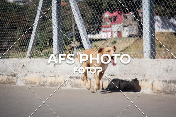 Buy your photos of the eventCorrida e Caminhada Metropax Academia M�vel 2019 on Fotop