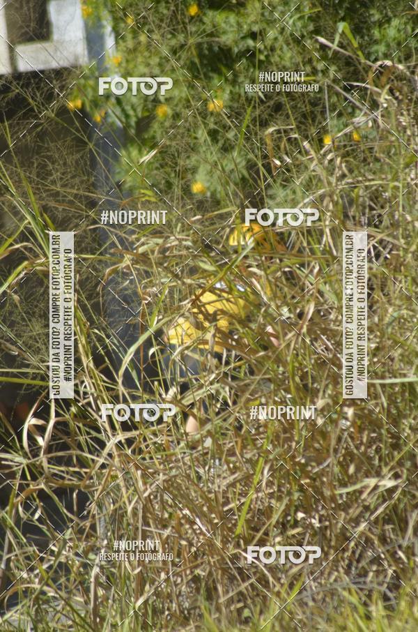 Buy your photos of the eventIntercity de Mountain Bike 2019 on Fotop