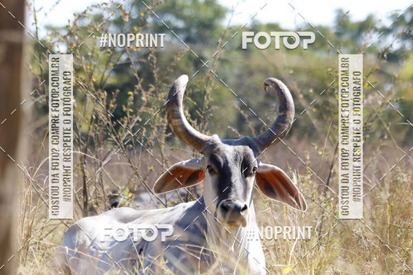 Buy your photos of the eventIntercity de Mountain Bike 2019 on Fotop