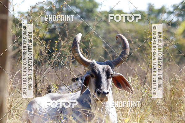 Buy your photos of the eventIntercity de Mountain Bike 2019 on Fotop