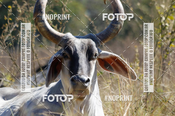 Buy your photos of the eventIntercity de Mountain Bike 2019 on Fotop