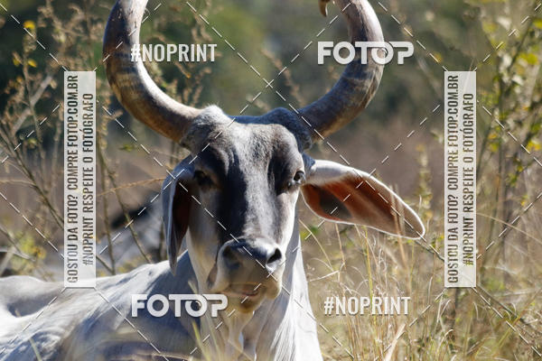 Buy your photos of the eventIntercity de Mountain Bike 2019 on Fotop