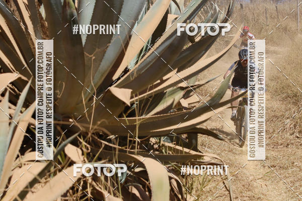 Buy your photos of the eventIntercity de Mountain Bike 2019 on Fotop