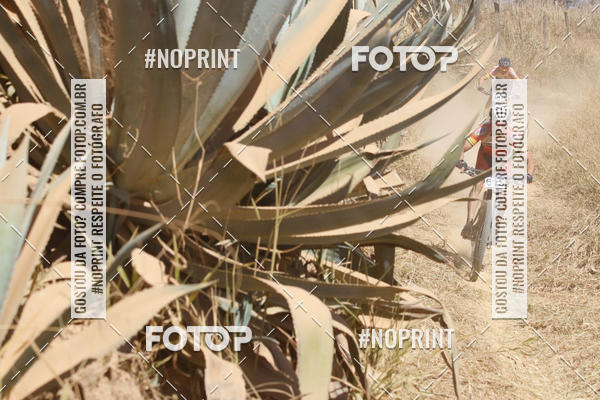 Buy your photos of the eventIntercity de Mountain Bike 2019 on Fotop
