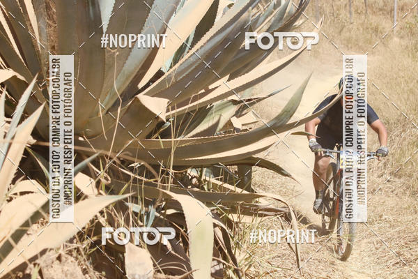 Buy your photos of the eventIntercity de Mountain Bike 2019 on Fotop