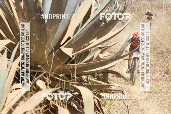 Buy your photos of the eventIntercity de Mountain Bike 2019 on Fotop