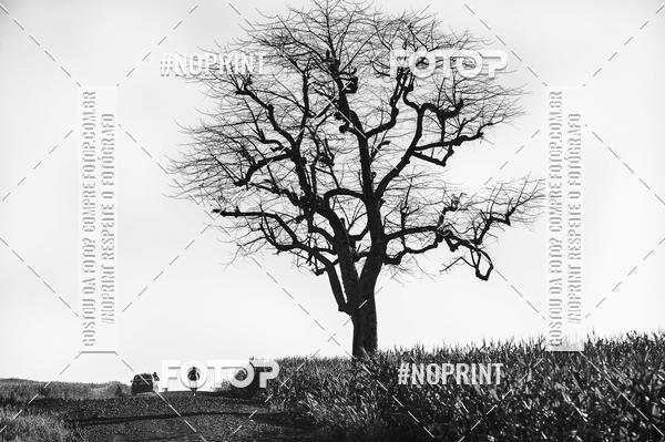 Buy your photos of the event7 Volta do Guarani - Ibipor - 2019 on Fotop