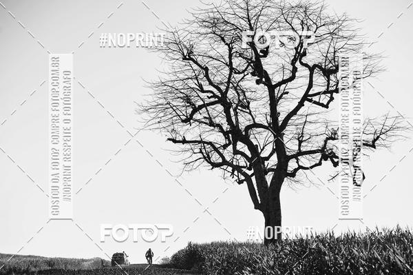 Buy your photos of the event7 Volta do Guarani - Ibipor - 2019 on Fotop