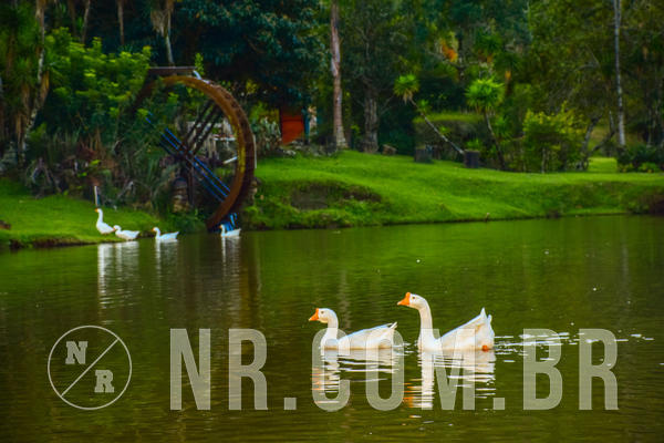 Buy your photos of the eventNR2 -  Copa Meninos da Vila SFC 04 a 07/07/19 on Fotop