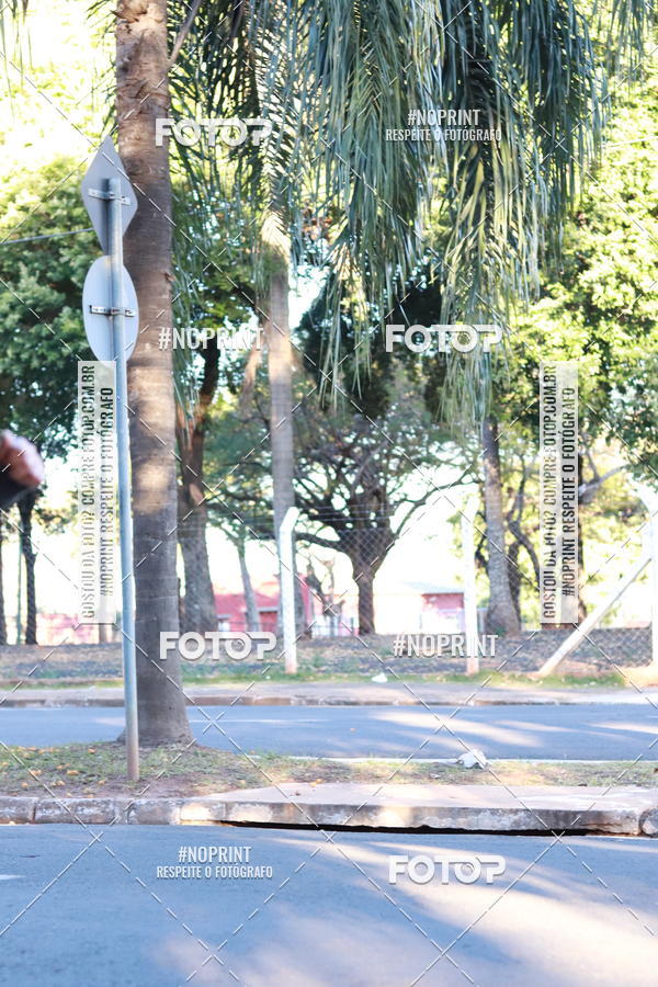 Buy your photos of the event14 Corrida Seven RioPreto Shopping Center on Fotop