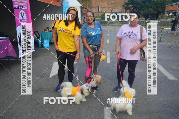 Buy your photos of the eventCorrida Pet Finde on Fotop