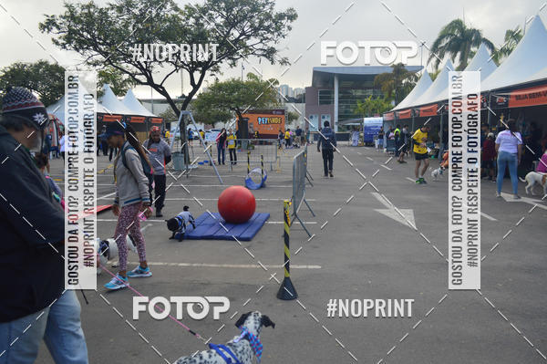 Buy your photos of the eventCorrida Pet Finde on Fotop