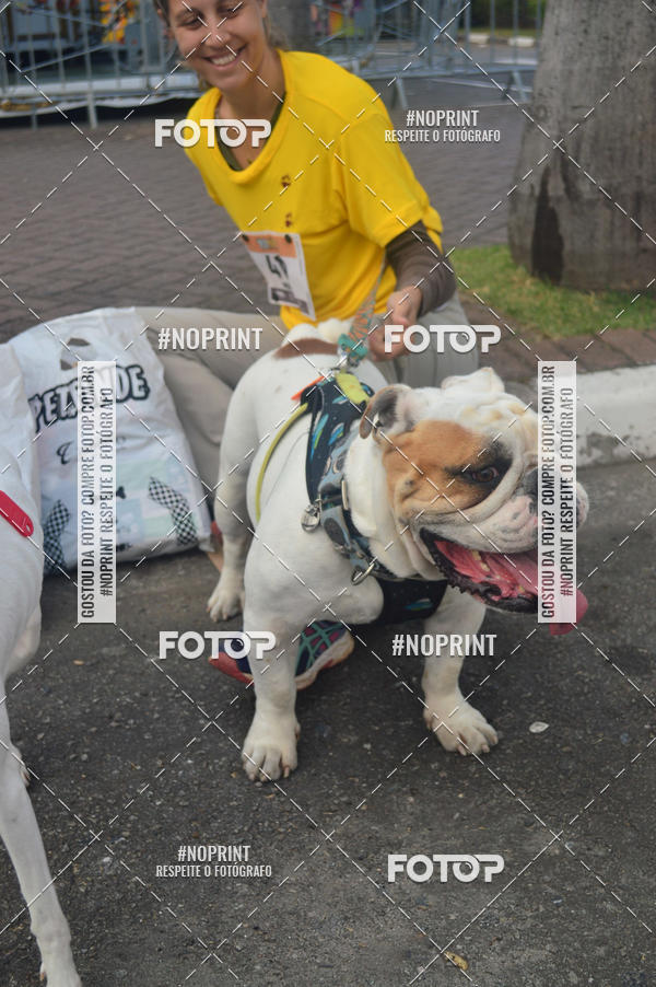 Buy your photos of the eventCorrida Pet Finde on Fotop