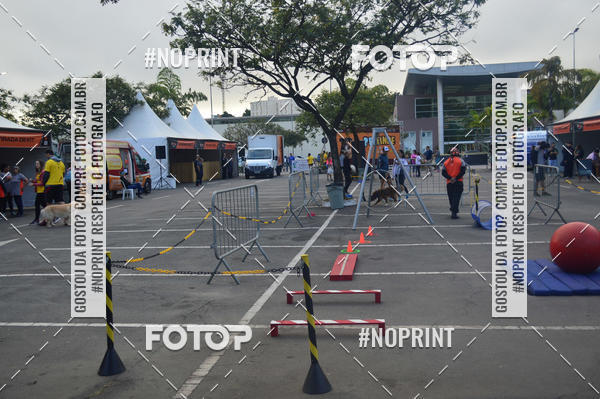 Buy your photos of the eventCorrida Pet Finde on Fotop