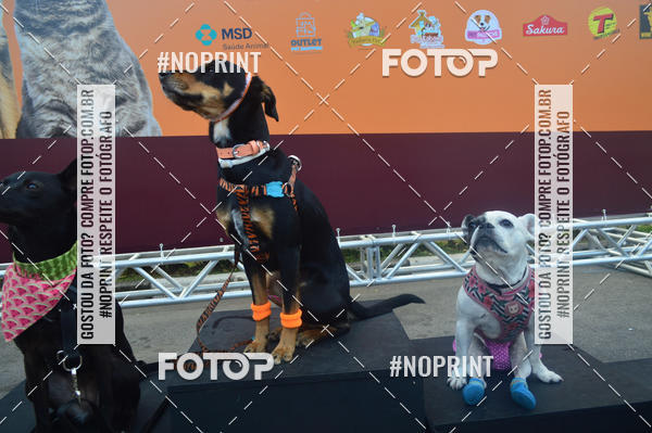 Buy your photos of the eventCorrida Pet Finde on Fotop