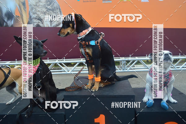 Buy your photos of the eventCorrida Pet Finde on Fotop