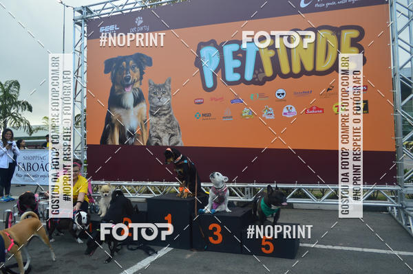 Buy your photos of the eventCorrida Pet Finde on Fotop