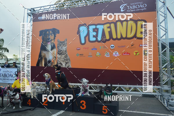 Buy your photos of the eventCorrida Pet Finde on Fotop