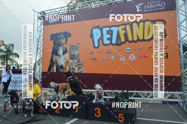 Buy your photos of the eventCorrida Pet Finde on Fotop