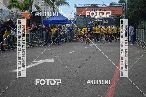 Buy your photos of the eventCorrida Pet Finde on Fotop