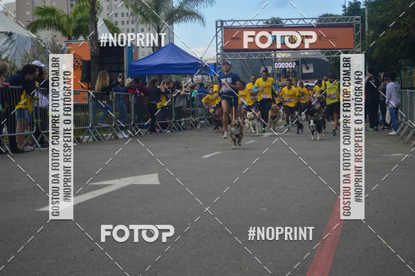 Buy your photos of the eventCorrida Pet Finde on Fotop