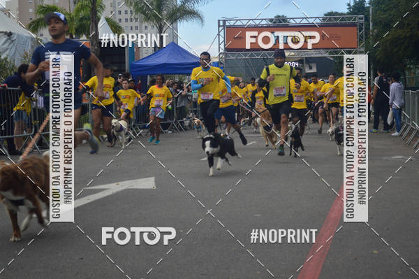 Buy your photos of the eventCorrida Pet Finde on Fotop