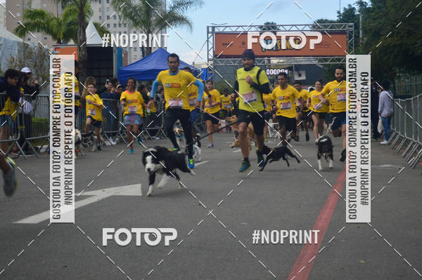 Buy your photos of the eventCorrida Pet Finde on Fotop