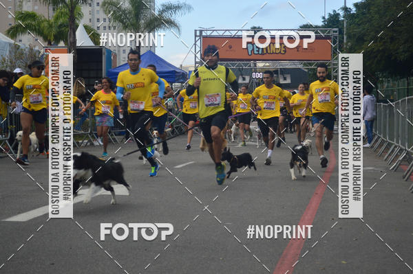 Buy your photos of the eventCorrida Pet Finde on Fotop