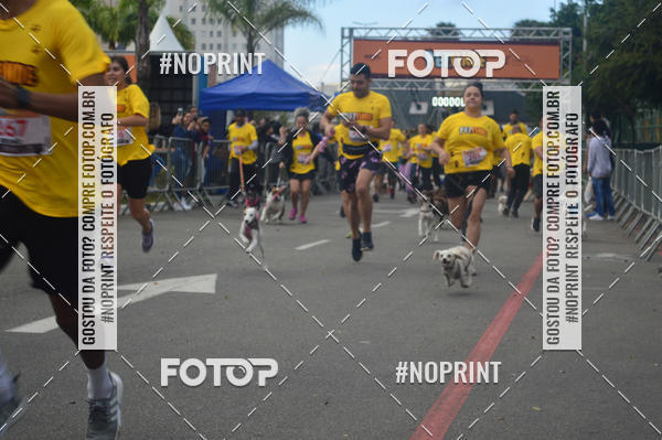 Buy your photos of the eventCorrida Pet Finde on Fotop