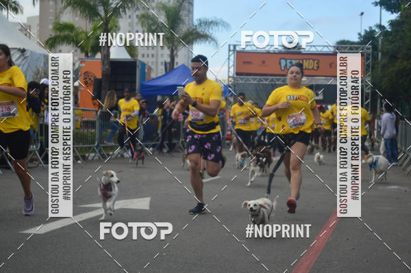 Buy your photos of the eventCorrida Pet Finde on Fotop