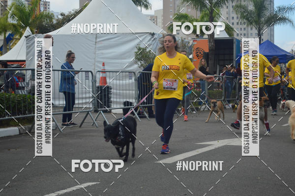 Buy your photos of the eventCorrida Pet Finde on Fotop