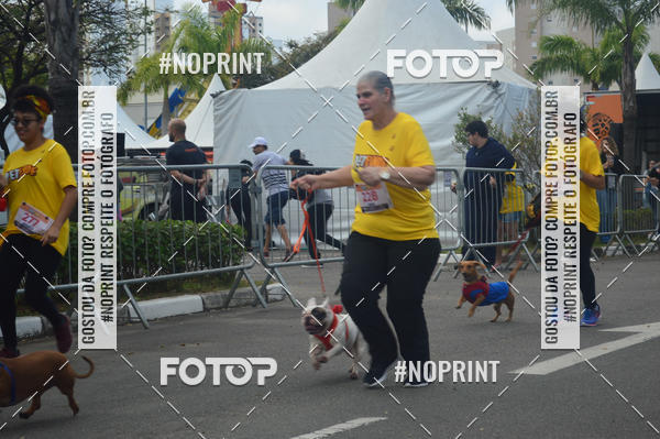 Buy your photos of the eventCorrida Pet Finde on Fotop