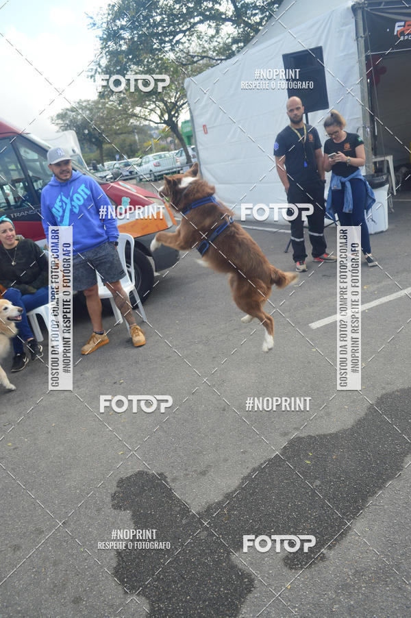 Buy your photos of the eventCorrida Pet Finde on Fotop