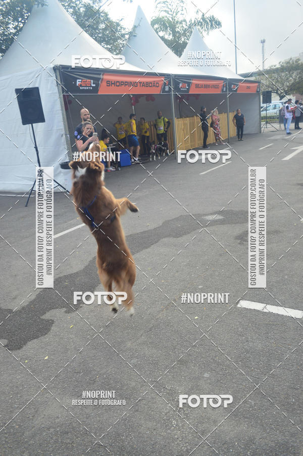 Buy your photos of the eventCorrida Pet Finde on Fotop
