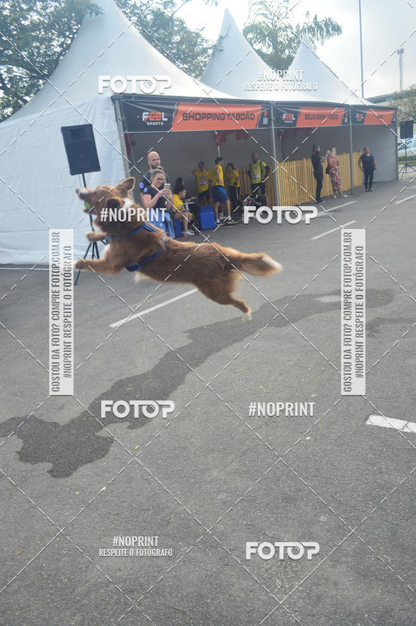 Buy your photos of the eventCorrida Pet Finde on Fotop