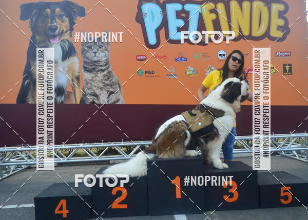 Buy your photos of the eventCorrida Pet Finde on Fotop